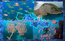 Mediterraneo Sub 3